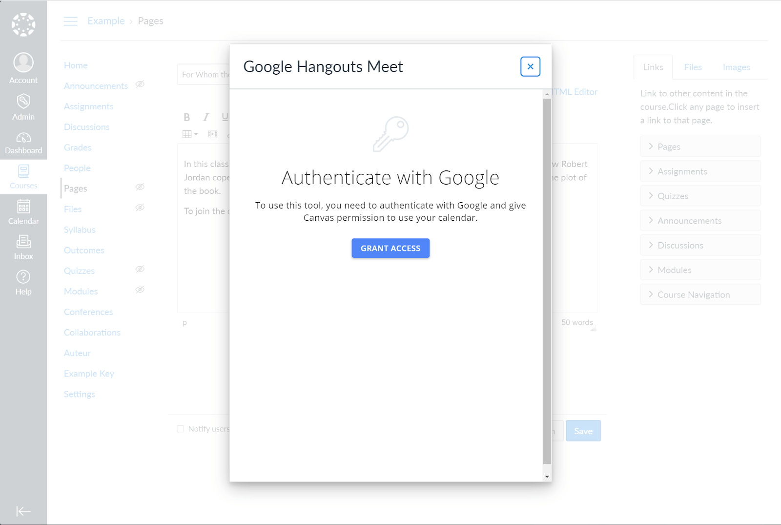 Authenticate with Google Grant Access option